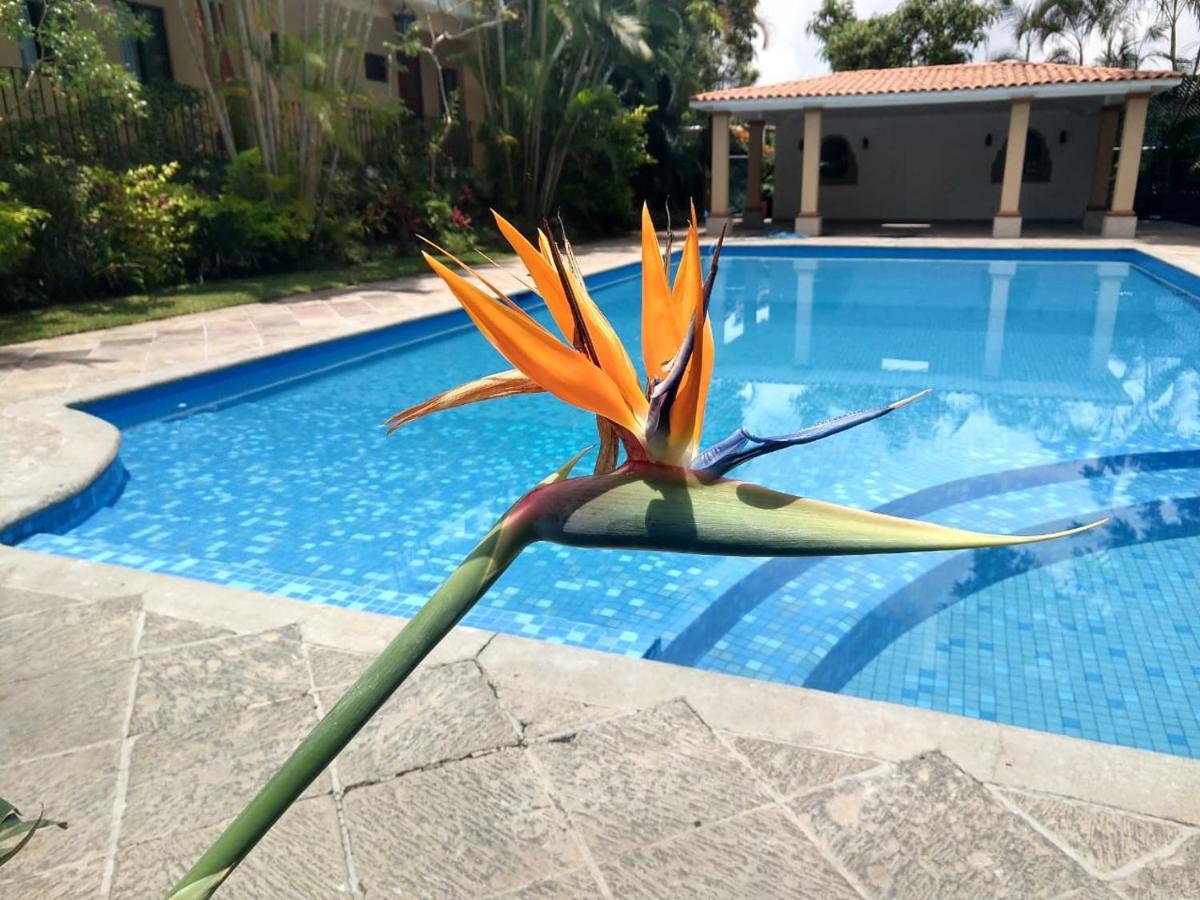 Hotel Spa Posada Tlaltenango Cuernavaca Ngoại thất bức ảnh